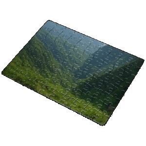 Puzzle (10 Pack)
