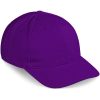 Pro Basic Cap - 6 Panel - Purple