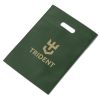 Altitude Bounce Non-Woven Gift Bag - Dark Green