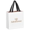 Altitude Galleria Mini Paper Gift Bag - Nude