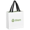 Altitude Galleria Mini Paper Gift Bag - Sage
