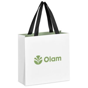 Altitude Galleria Mini Paper Gift Bag in Sage