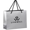 Altitude Majesty Mini Paper Gift Bag - Silver