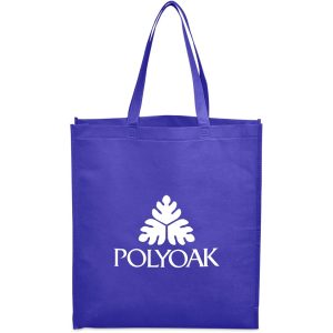 Wellington Non-Woven Shopper in Blue