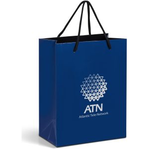 Altitude Dazzle Mini Paper Gift Bag in Navy