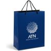 Altitude Dazzle Midi Paper Gift Bag - Navy