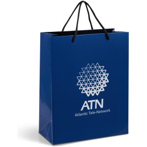 Altitude Dazzle Midi Paper Gift Bag in Navy
