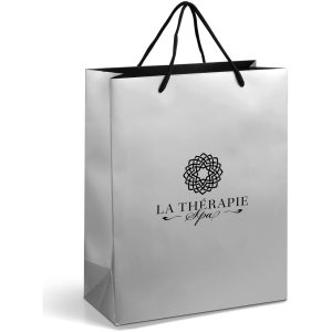 Altitude Dazzle Midi Paper Gift Bag in Silver