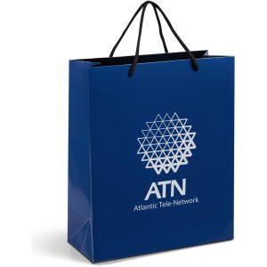 Altitude Dazzle Maxi Paper Gift Bag in Navy