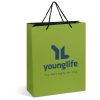 Altitude Omega Mini Paper Gift Bag - Lime