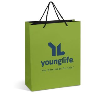 Altitude Omega Mini Paper Gift Bag in Lime