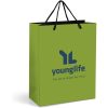 Altitude Omega Midi Paper Gift Bag - Lime