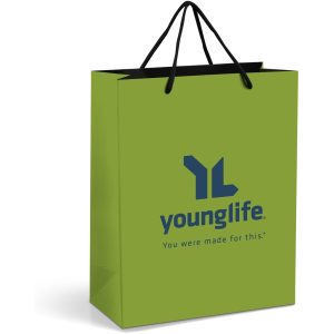 Altitude Omega Midi Paper Gift Bag in Lime