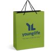 Altitude Omega Maxi Paper Gift Bag - Lime