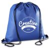 Altitude Whitefield Non-Woven Drawstring Bag - Blue