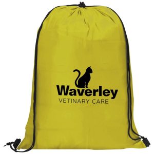 Altitude Daily 190T Drawstring Bag in Yellow