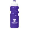 Altitude Baltic Plastic Water Bottle - 330ml - Purple
