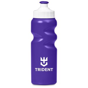 Altitude Baltic Plastic Water Bottle - 330ml in Purple