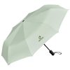 Serendipio Sleet Auto-Open Compact Umbrella - Sage