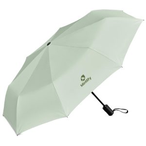Serendipio Sleet Auto-Open Compact Umbrella in Sage