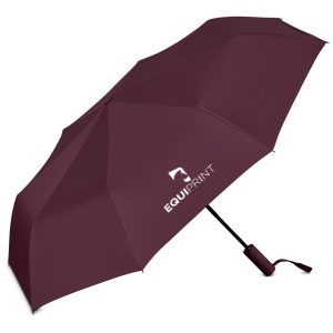 Serendipio Milestone Auto-Open Compact Umbrella in Maroon