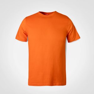 Classic T-Shirt in Orange