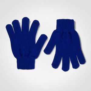Aspen Gloves in Royal