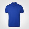 Coastal Golfer - Royal
