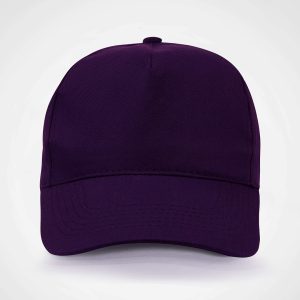 Superior 5 Panel Cap in Purple