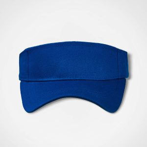 Sunvisor in Royal